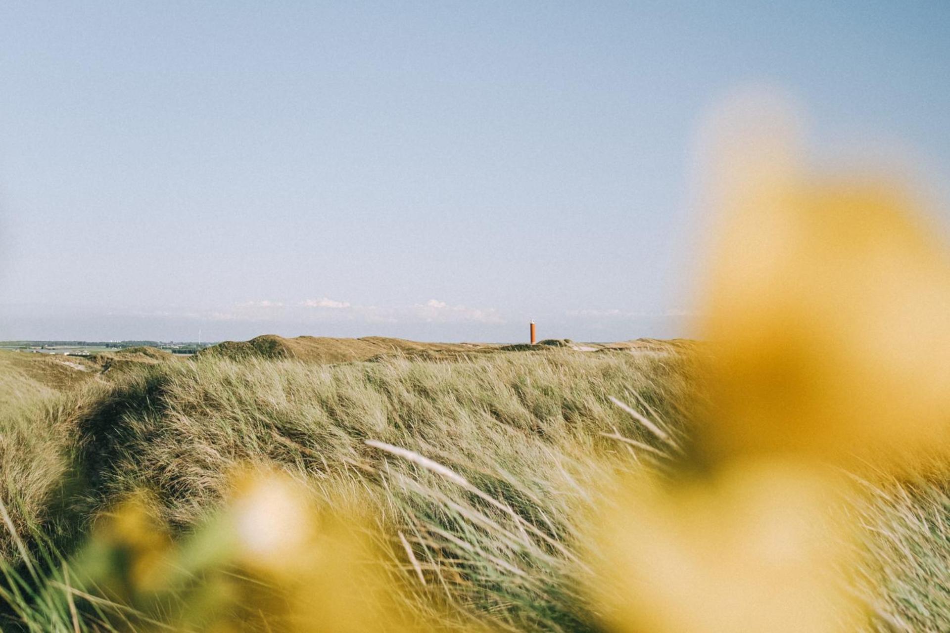 De Duintuin - In De Duinen, Groote Keeten Aan Zee Callantsoog Exteriör bild