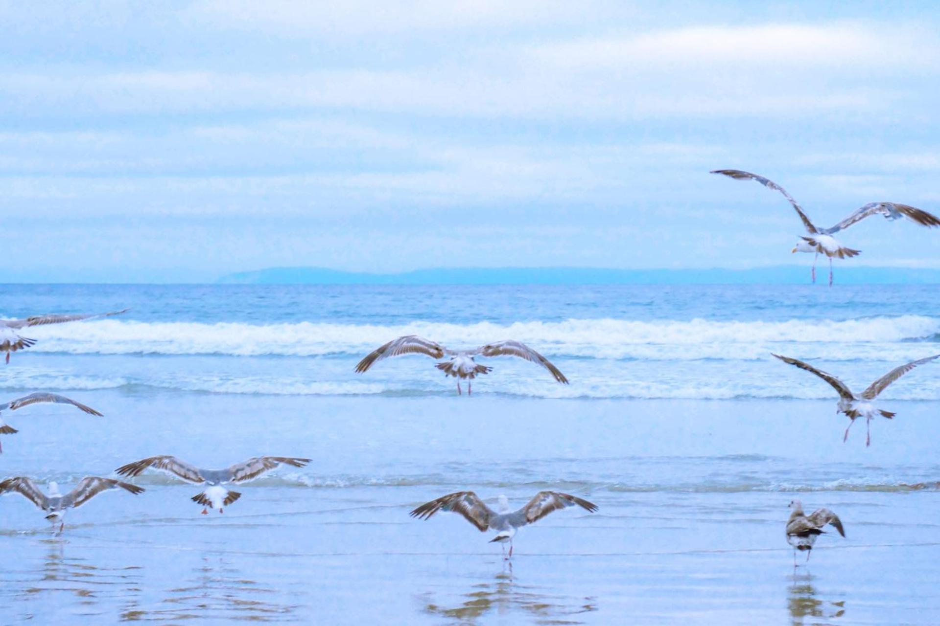 De Duintuin - In De Duinen, Groote Keeten Aan Zee Callantsoog Exteriör bild