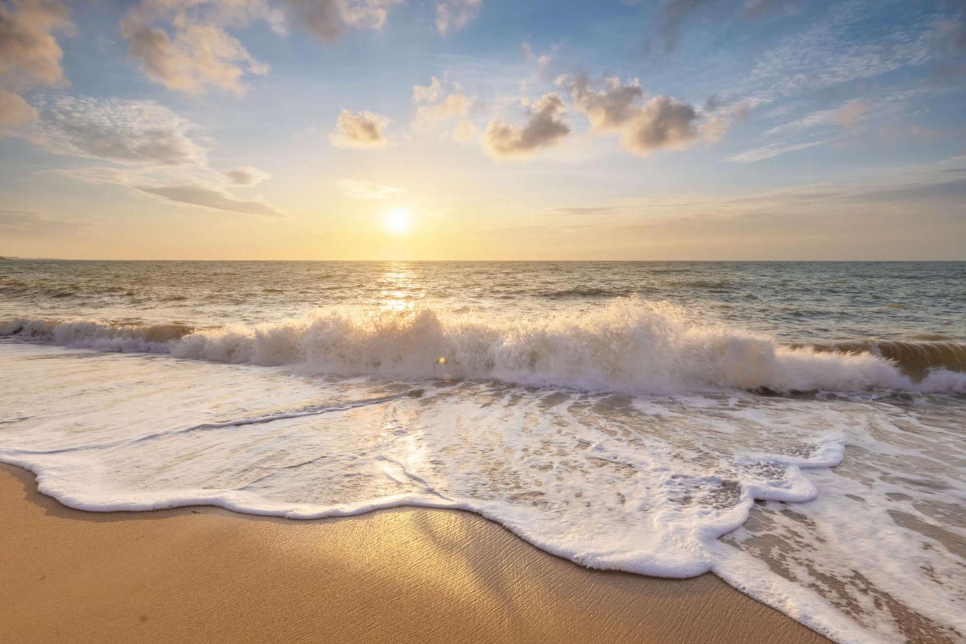 De Duintuin - In De Duinen, Groote Keeten Aan Zee Callantsoog Exteriör bild